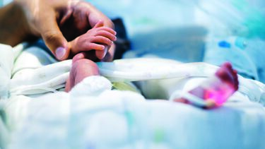 Multa de 6 mil euros para médicos condenados por morte de recém-nascido no Porto