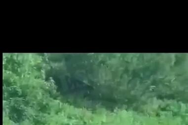 Acidente com veículo do Exército corta Marginal em Oeiras no sentido Lisboa-Cascais