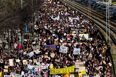 Manifestação, Professores