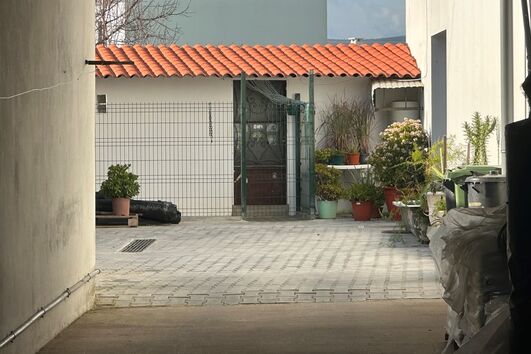 Mulher atacada por cão em Faro está em coma induzido