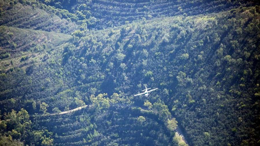 O percurso da avioneta foi acompanhado de perto por duas aeronaves da Força Aérea