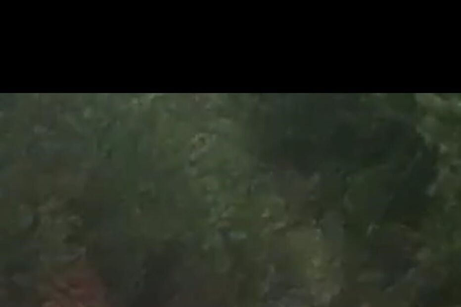 Derrocada em Espinho