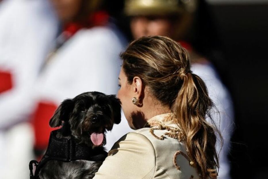 Cadela adotada por Lula da Silva e Rosângela foi uma das convidadas da tomada de posse 
