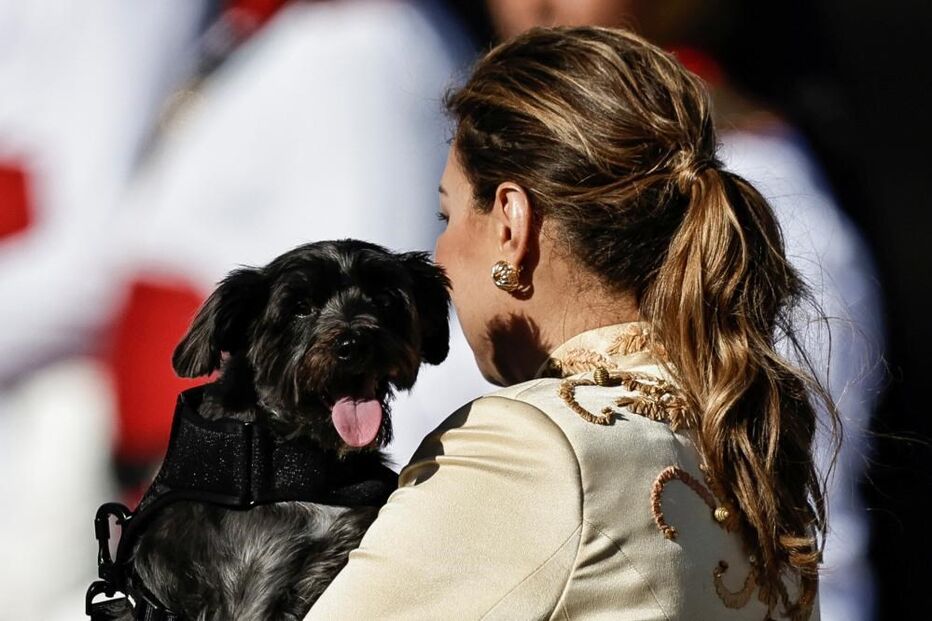 Cadela adotada por Lula da Silva e Rosângela foi uma das convidadas da tomada de posse 