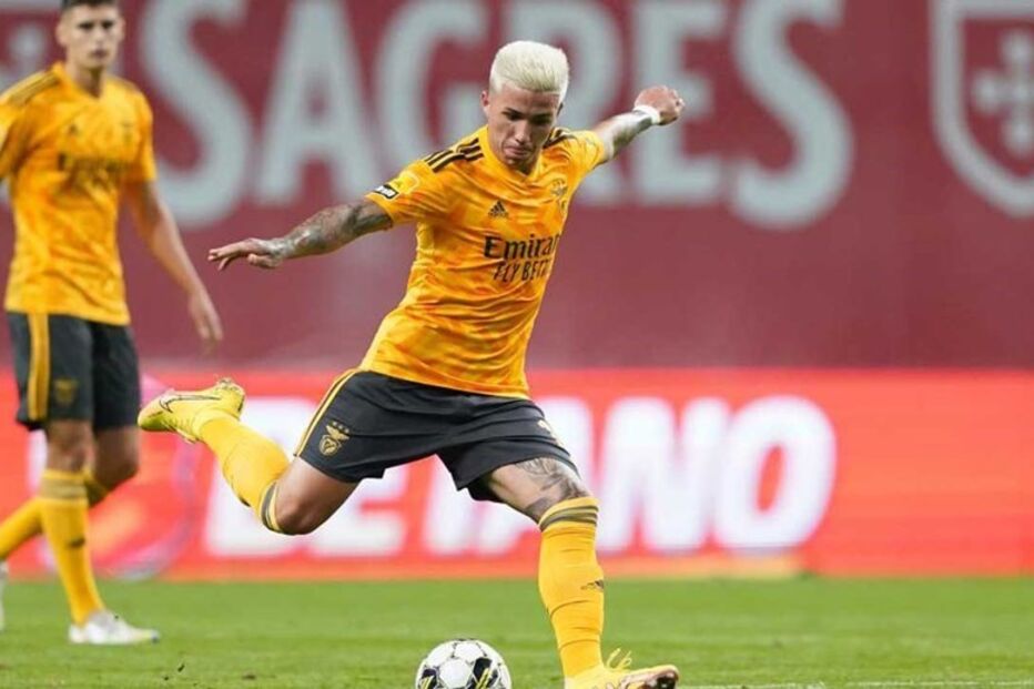 Birra de Enzo Fernández custa milhões de euros ao Benfica