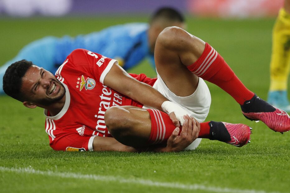 Benfica-Portimonense