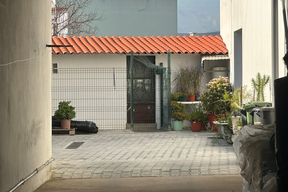 Mulher atacada por cão em Faro está em coma induzido