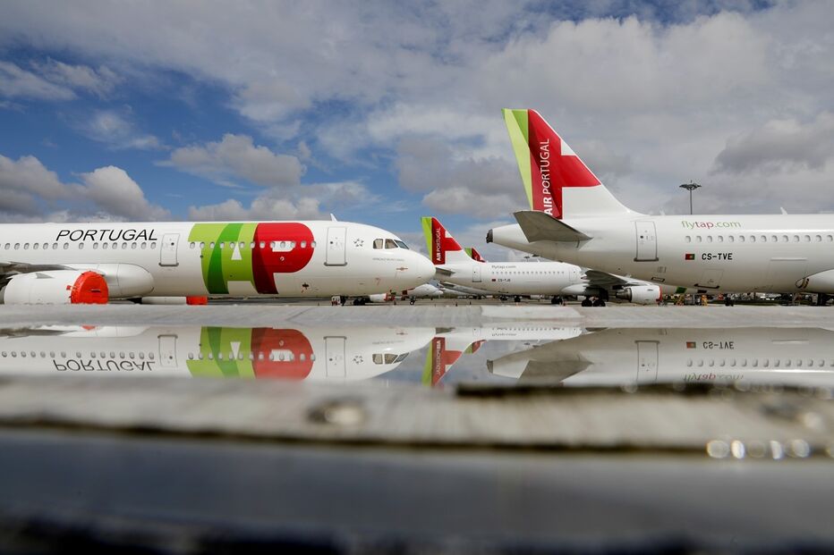 Imagem _MB_3881.JPG (16590575) (Milenium)