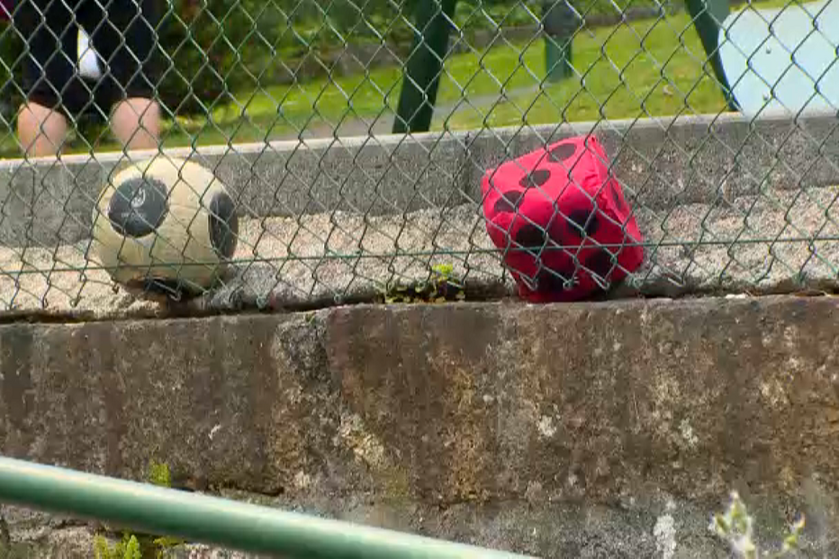 Famílias e amigos de autarcas ganham 14 milhões de euros em concursos públicos