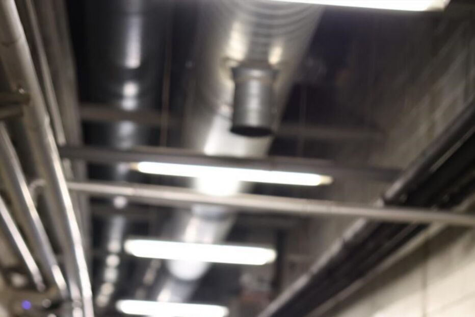 Cristina Talks, Cristina Ferreira, Altice Arena, Rúben Rua