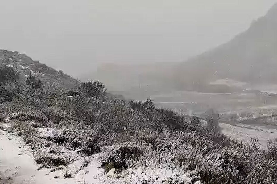 Neve deixa Bragança e Trás-os-Montes cobertos de branco