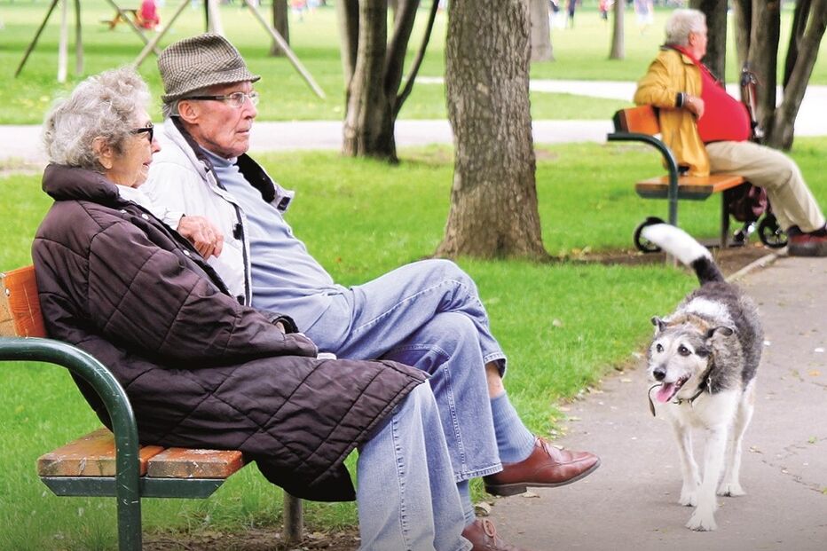 Imagem P26 Foto1 copy.jpg (16705190) (Milenium)