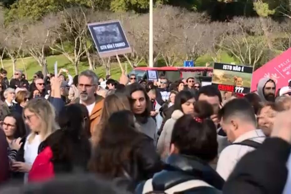 Manifestação pela criminalização dos maus-tratos a animais  em Lisboa 