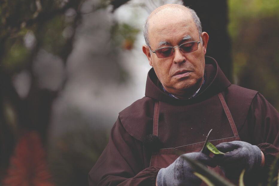 O Xarope do frade: Ajuda a tratar o cancro, faz descer a diabetes e melhora o desempenho sexual