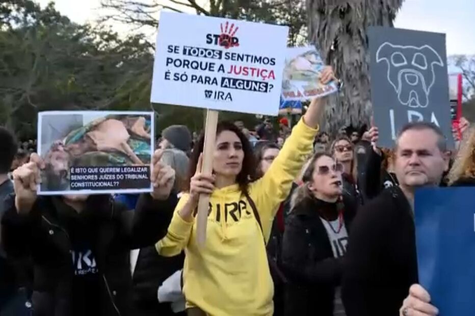 Manifestação pelos direitos dos animais, em Lisboa 