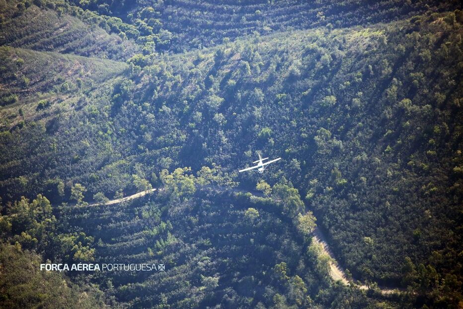 Avioneta de narcotraficantes muda rota e larga fardos de haxixe no Alentejo