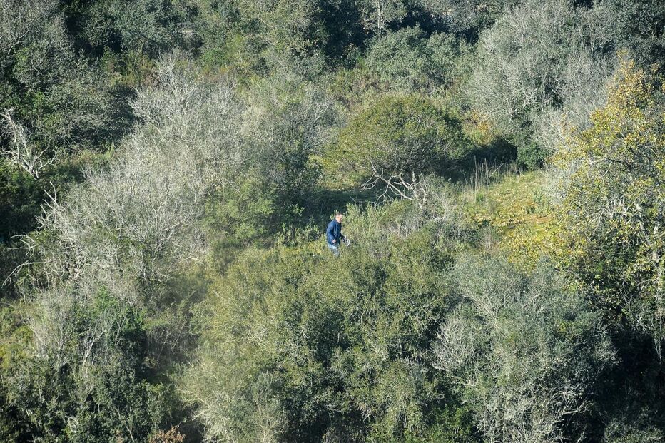 Buscas da PJ por Filipe Silva