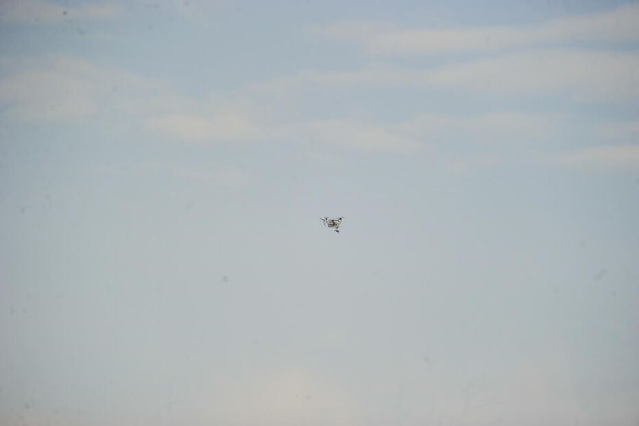 Buscas da PJ por Filipe Silva