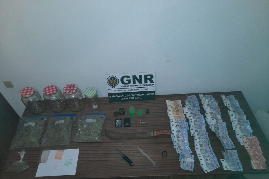 Apreensão em Ílhavo