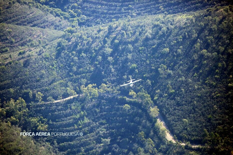 Imagem 46227490.JPG (16783658) (Milenium)