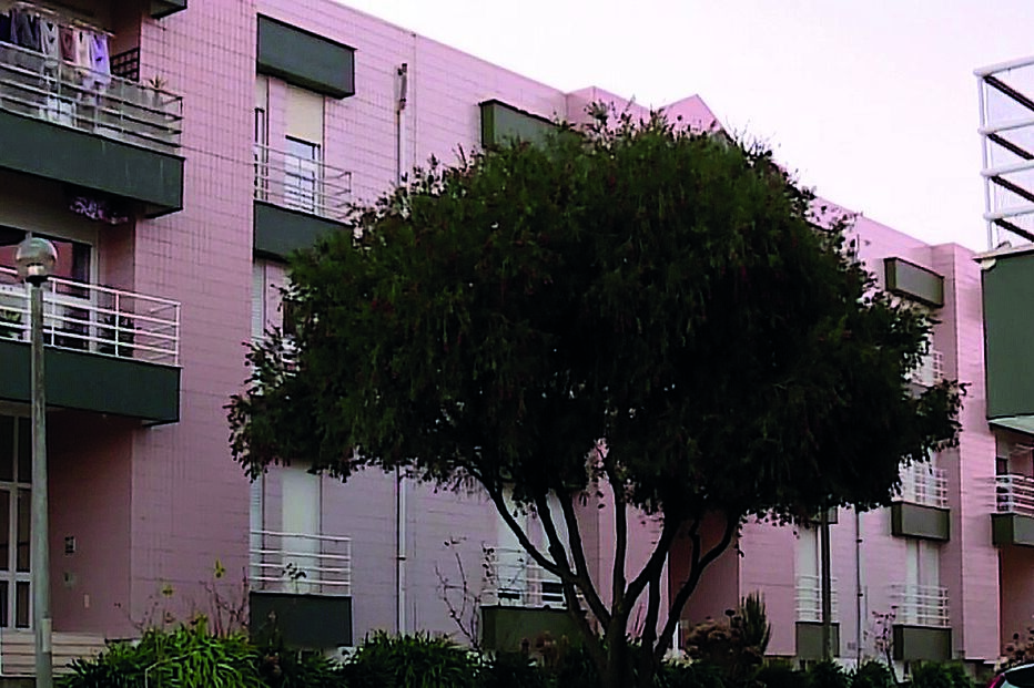 Ladrar de cão salva mulher esfaqueada pelo marido em rua de Cantanhede