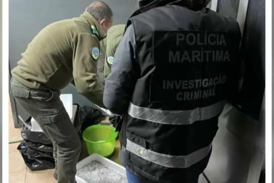 Apreendido meixão em Famalicão