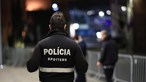 Oito adeptos das claques do Benfica detidos em megaoperação da PSP ficam em prisão preventiva