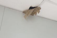 Contentor sem condições