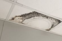 Contentor sem condições