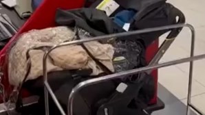 Casal abandona bebé no aeroporto depois de recusar pagar bilhete de avião