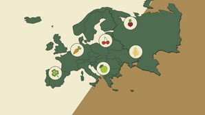 Qual o país de origem das frutas e legumes que comemos?