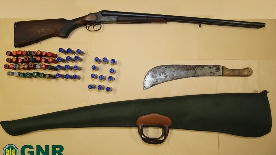 Homem identificado pela GNR por matar cão a tiro em Braga. Armas apreendidas