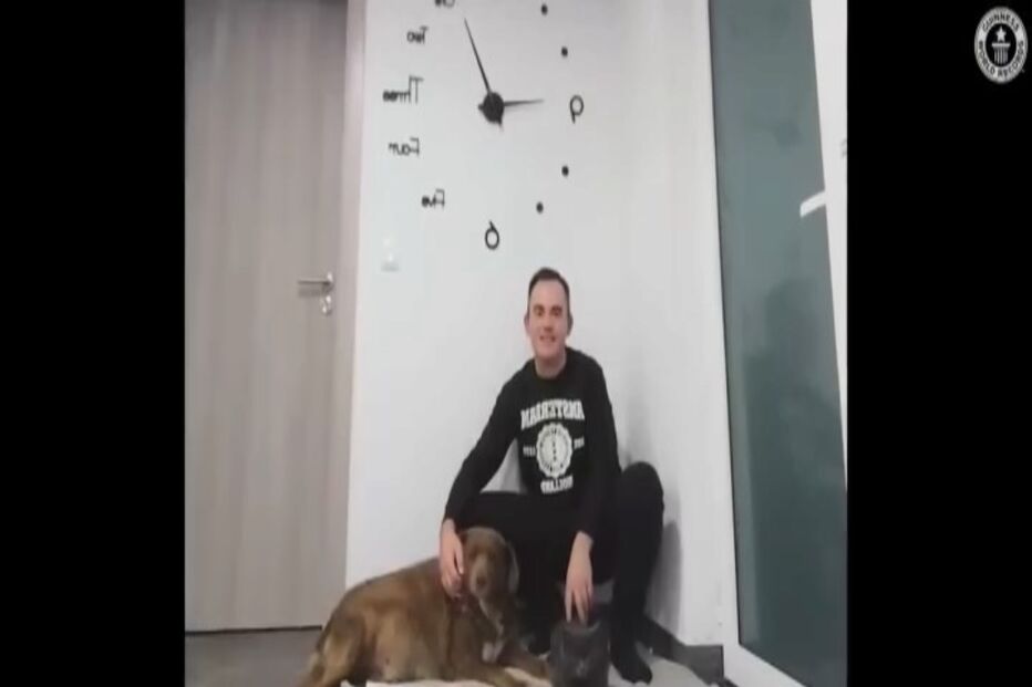 Cão mais velho do mundo é português