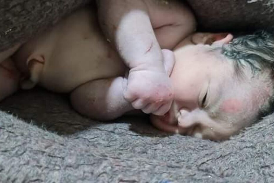 Bebé, Síria, sismo