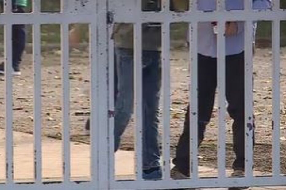 “O meu filho não vai voltar àquela escola”, revela mãe de menino violado por colegas em Paredes