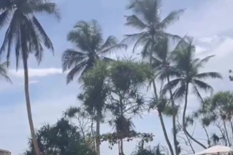 2023-02-09_11_20_25 catarinafurtadooficial_894DC5FADC2F97B75066CE81CC990EB9_video_dashinit_Moment2.jpg