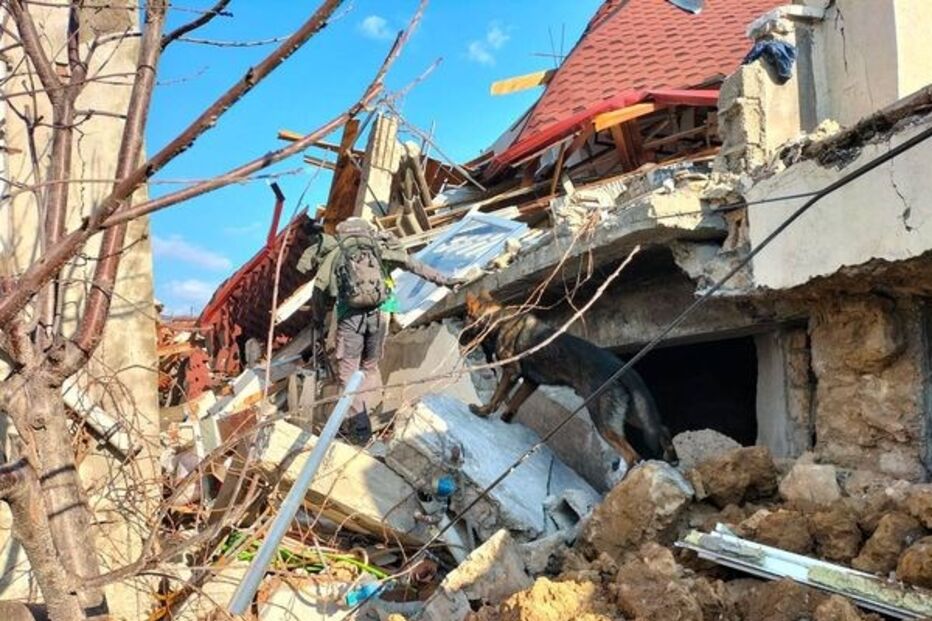 Portugueses ajudam nas operações de resgate após sismos na Turquia e na Síria