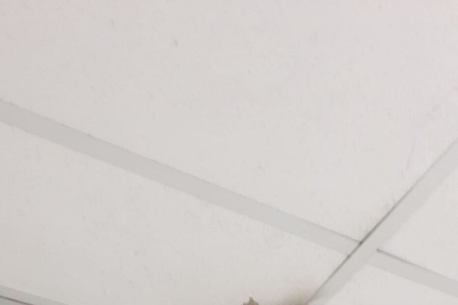 Contentor sem condições