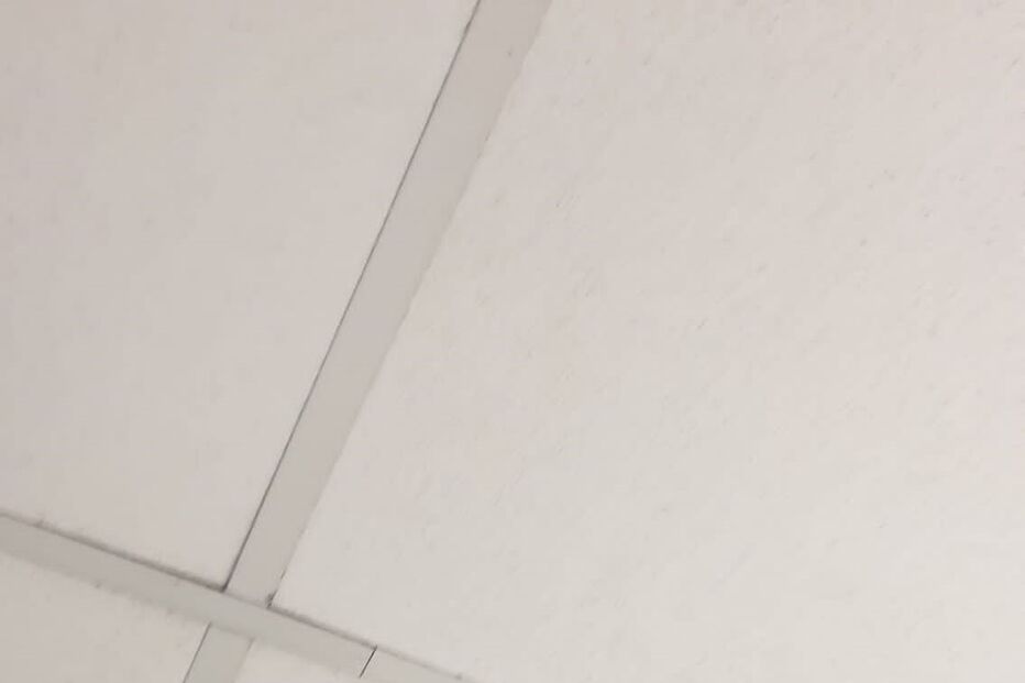 Contentor sem condições