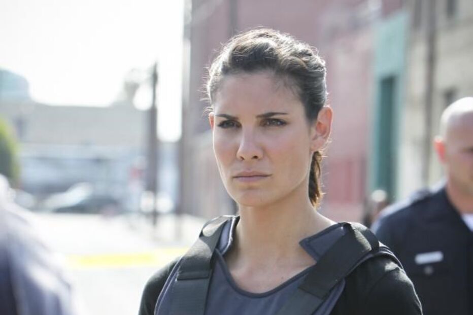 A atriz, na série 'Investigação Criminal: Los Angeles'