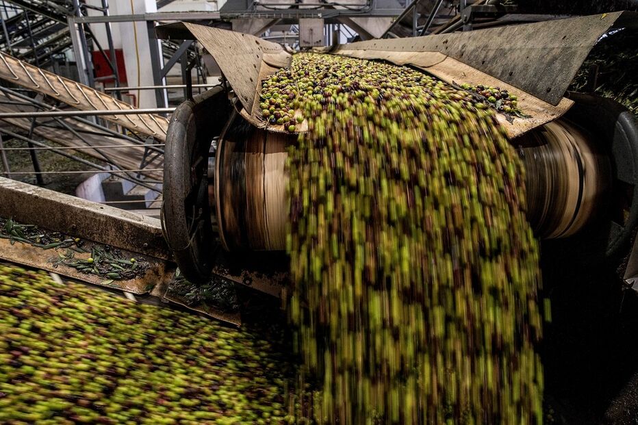 Imagem _JMR3636.JPG (17189811) (Milenium)