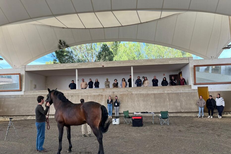 2023-02-20_20_02_00 EQUIMAIS (1).jpg