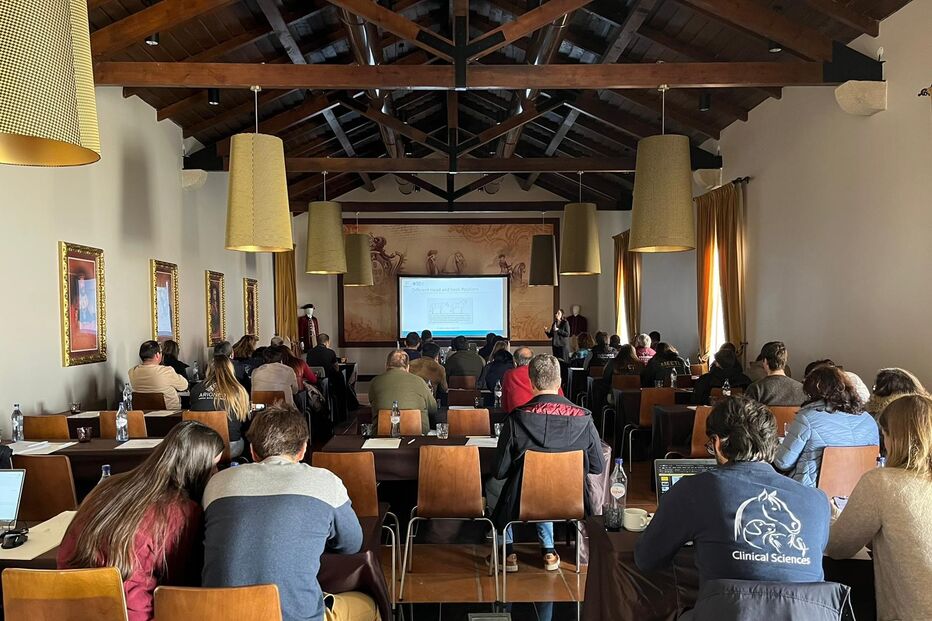 2023-02-20_20_02_01 EQUIMAIS (2).jpg