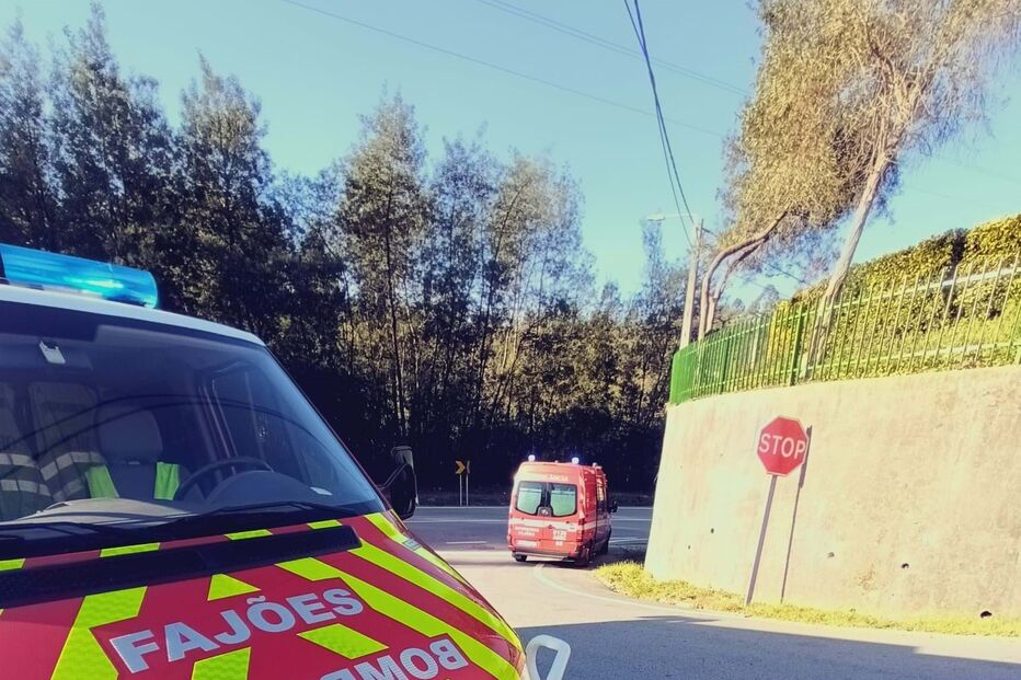 2023-02-28_10_26_09 WhatsApp Image 2023-02-28 at 09.18.45 (1).jpg