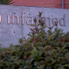 <![CDATA[ Infarmed aprovou financiamento público de 51 medicamentos inovadores no 1º semestre ]]>