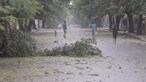 Maláui diz que número de vítimas mortais do ciclone Freddy deve superar o milhar