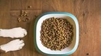 Comer ração para cão para uma dieta rica em proteína: Nova tendência do TikTok assusta os médicos