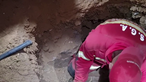 Bombeiros resgatam cão de túnel em Montemor