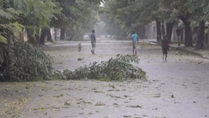 Cruz Vermelha Chinesa doa 46 mil euros para apoiar vítimas de ciclone em Moçambique