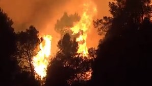 Imagens impressionantes mostram primeiro grande incêndio do ano em Espanha. Já há mais de 1500 desalojados